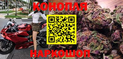 крисы Братск
