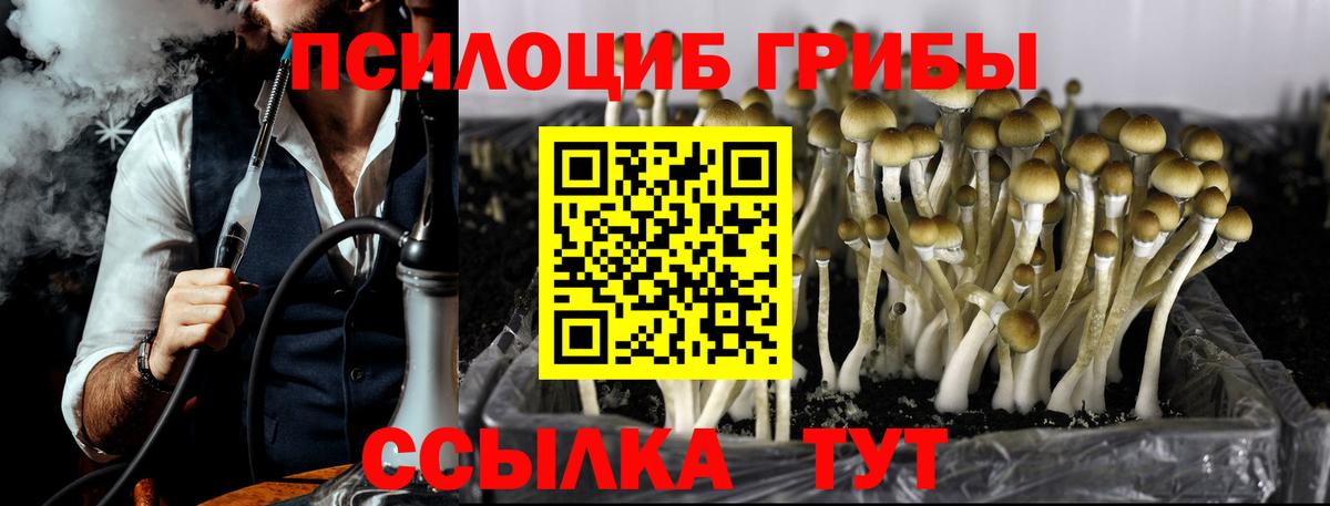 Псилоцибиновые грибы MAGIC MUSHROOMS  Вход с VPN  Амурск 