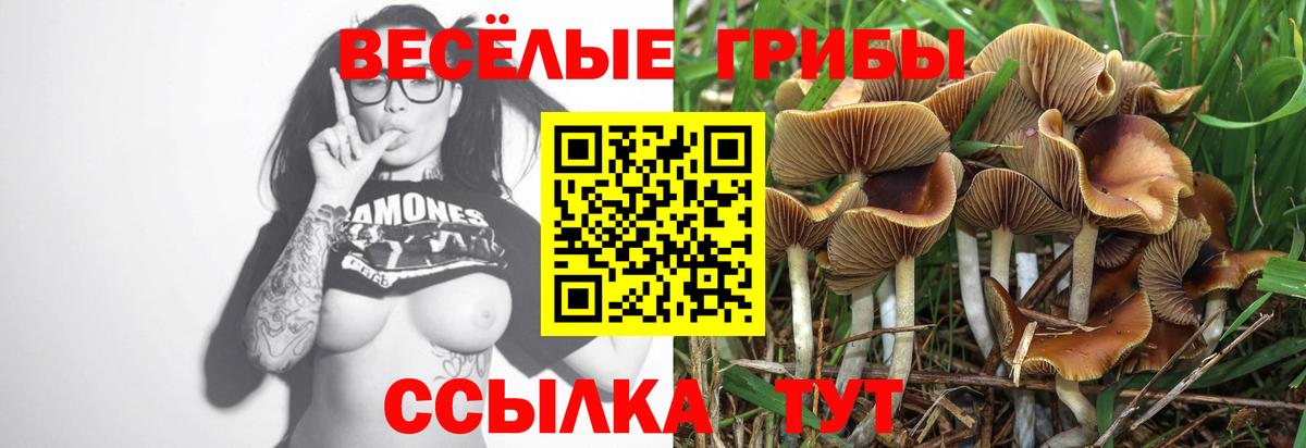 Галлюциногенные грибы мицелий Амурск